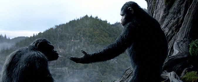 Duelity: Caesar and Koba from Dawn of the Planet of the Apes