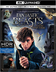 Fantastic Beasts and Where to Find Them (4K Ultra HD Blu-ray)