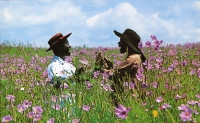 The Color Purple