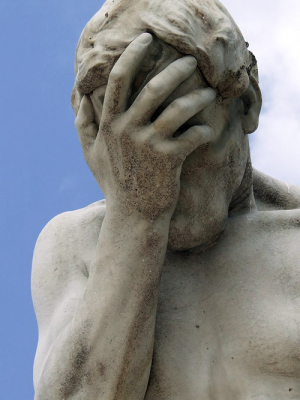 A Well-Deserved Facepalm