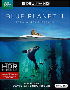 Blue Planet II (4K UHD Review)