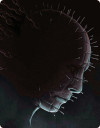 Hellraiser: Limited Edition Steelbook (Blu-ray Review)